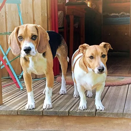 Nyaraló Tiny Somniflore *