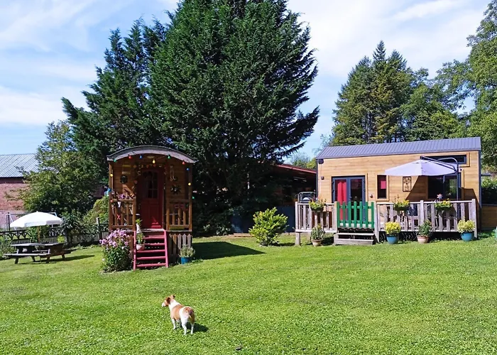 Tiny Somniflore Wasigny